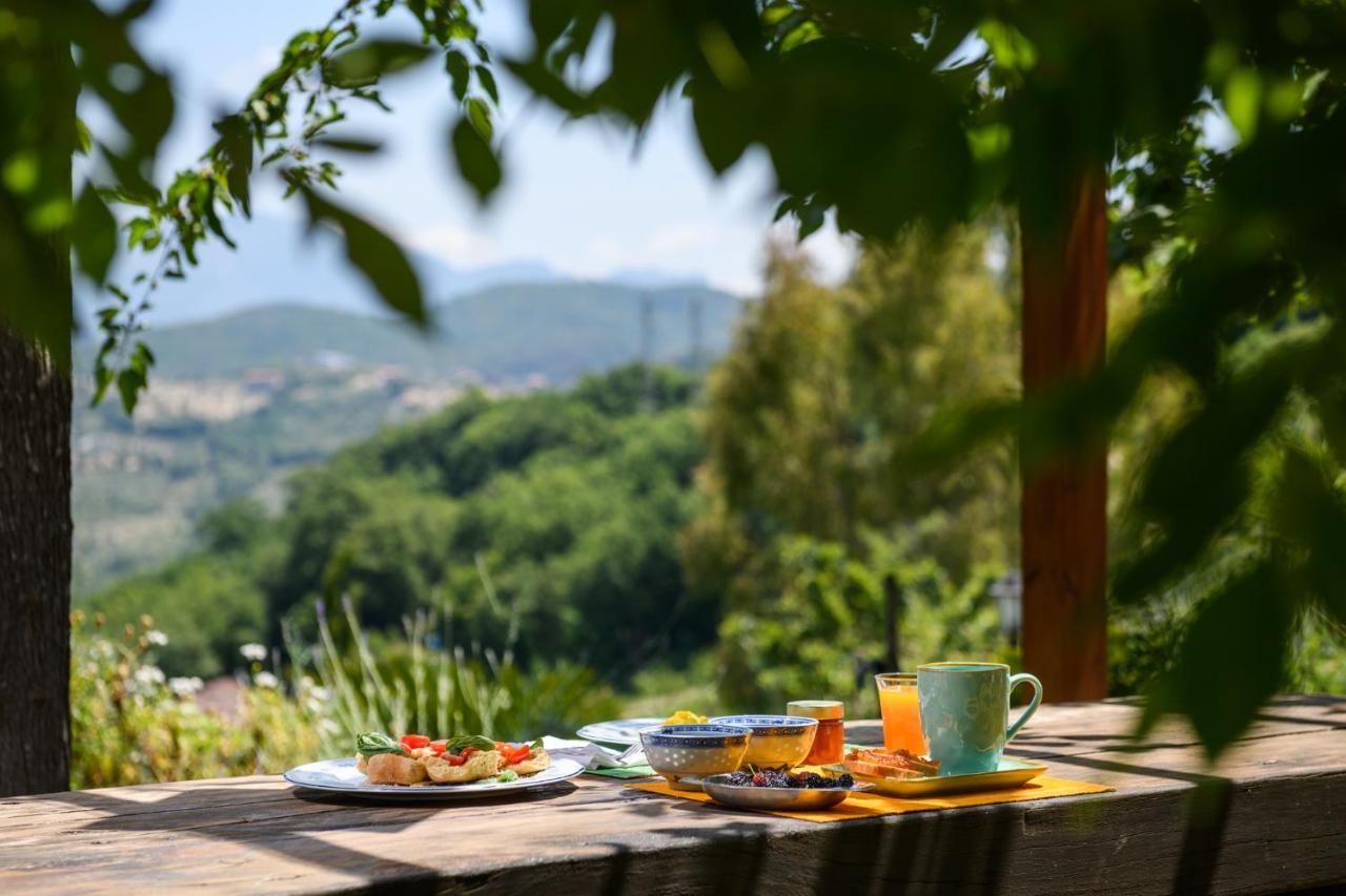 B&B Albachiara Casa Di Campagna Ogliastro Cilento Eksteriør bilde