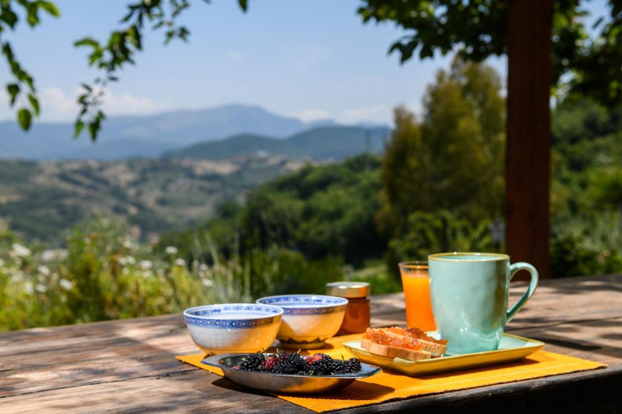 B&B Albachiara Casa Di Campagna Ogliastro Cilento Eksteriør bilde