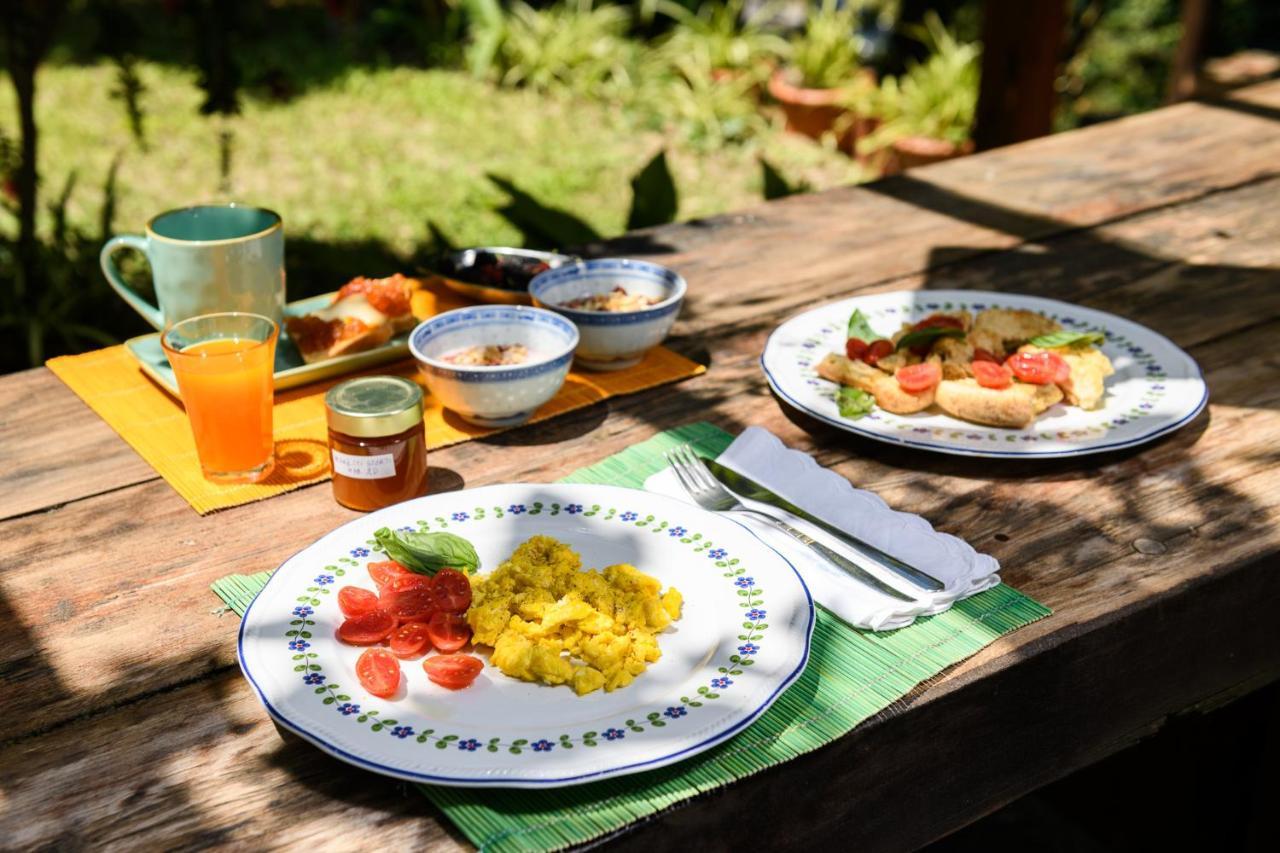 B&B Albachiara Casa Di Campagna Ogliastro Cilento Eksteriør bilde