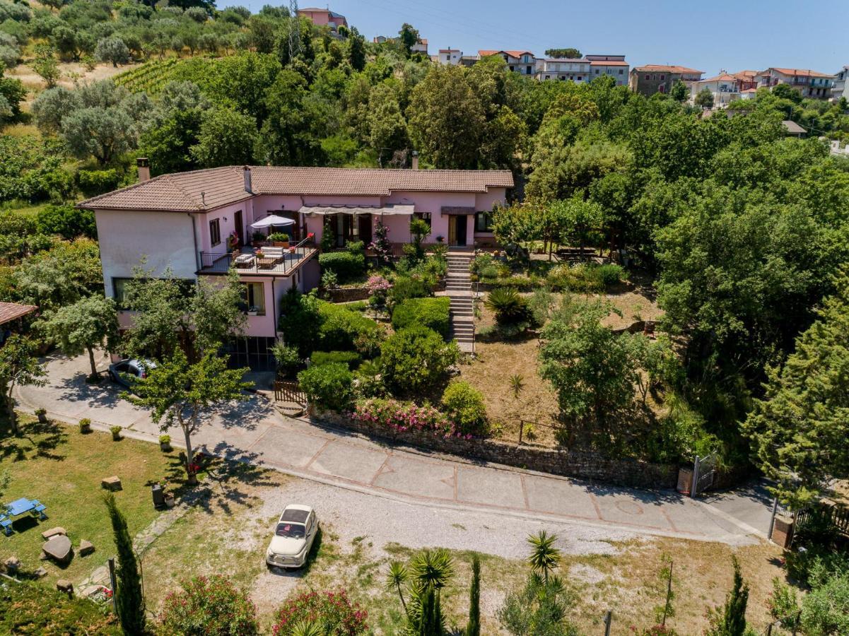 B&B Albachiara Casa Di Campagna Ogliastro Cilento Eksteriør bilde
